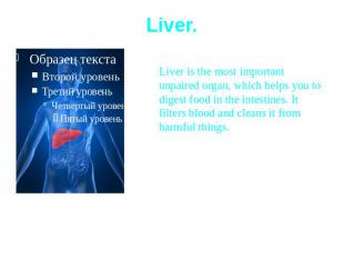 Liver.Liver is the most important unpaired organ, which helps you to digest food