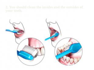 2. You should clean the insides and the outsides of your teeth.