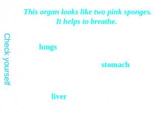 This organ looks like two pink sponges. It helps to breathe.