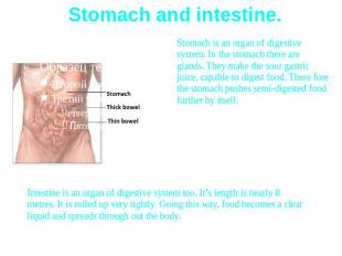 Stomach and intestine.Stomach is an organ of digestive system. In the stomach th