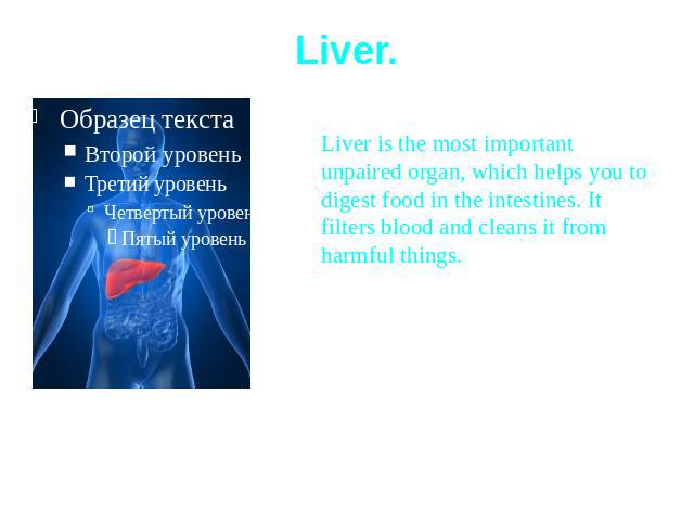 Liver.Liver is the most important unpaired organ, which helps you to digest food in the intestines. It filters blood and cleans it from harmful things.