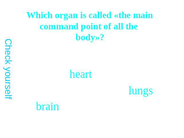 Which organ is called «the main command point of all the body»?