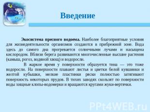 Экосистема пресного водоема. Наиболее благоприятные условия для жизнедеятельност