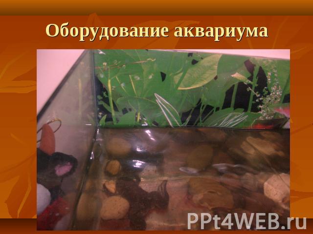 Оборудование аквариума