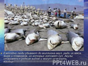 Ежегодно люди убивают до миллиона акул, ради их мяса, жира и плавников, из котор