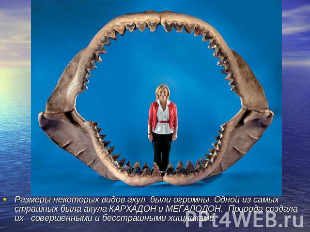 Размеры некоторых видов акул были огромны. Одной из самых страшных была акула КАРХАДОН и МЕГАЛОДОН. Природа создала их совершенными и бесстрашными хищниками.