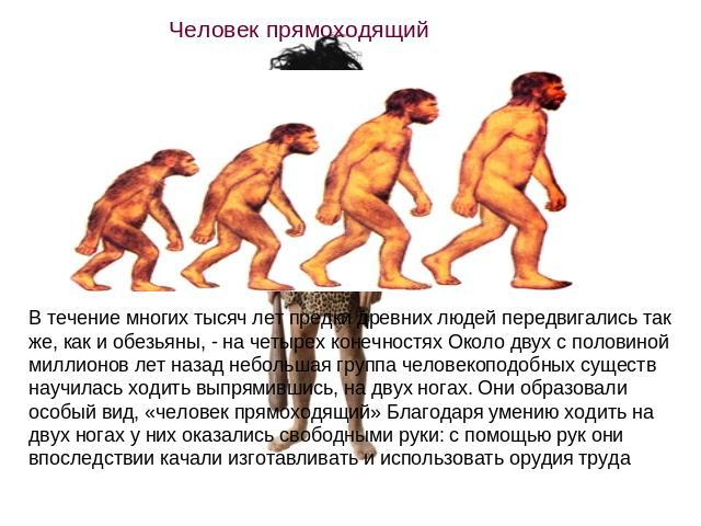 В течение многих тысяч лет предки древних людей передвигались так же, как и обезьяны, - на четырех конечностях Около двух с половиной миллионов лет назад небольшая группа человекоподобных существ научилась ходить выпрямившись, на двух ногах. Они обр…