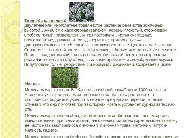 Тмин обыкновенныйДвулетнее или многолетнее травянистое растение семейства зонтичных высотой 30—80 см с характерным запахом. Корень мясистый, стержневой. Стебель полый, разветвленный, прямостоячий. Листья очередные, продолговатые, дважды- и триждыпер…
