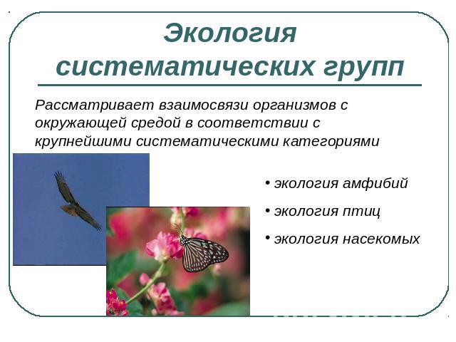 Экология систематических групп Рассматривает взаимосвязи организмов с окружающей средой в соответствии с крупнейшими систематическими категориями экология амфибий экология птиц экология насекомых