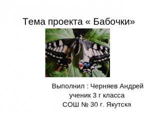 Тема проекта « Бабочки» Выполнил : Черняев Андрейученик 3 г классаСОШ № 30 г. Як