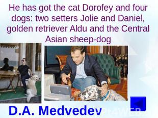 He has got the cat Dorofey and four dogs: two setters Jolie and Daniel, golden r