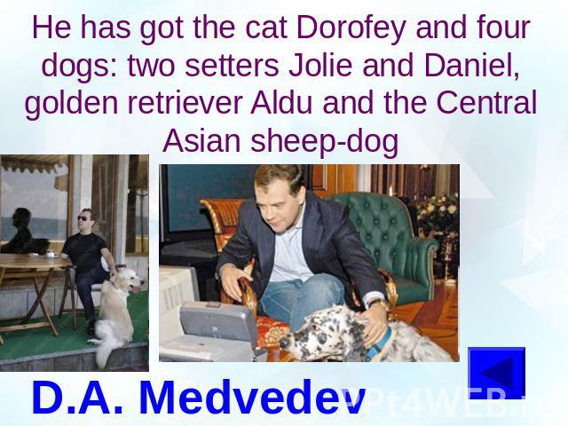 He has got the cat Dorofey and four dogs: two setters Jolie and Daniel, golden retriever Aldu and the Central Asian sheep-dogD.A. Medvedev
