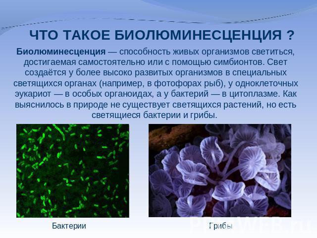 Биолюминесценция — способность живых организмов светиться, достигаемая самостоятельно или с помощью симбионтов. Свет создаётся у более высоко развитых организмов в специальных светящихся органах (например, в фотофорах рыб), у одноклеточных эукариот …