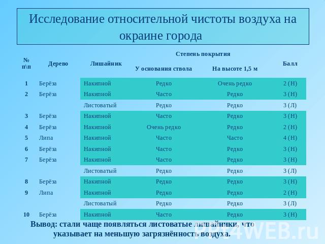 Исследование относительной чистоты воздуха на окраине города Вывод: стали чаще появляться листоватые лишайники, что указывает на меньшую загрязнённость воздуха.