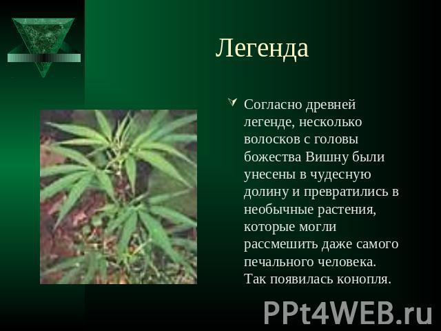 Презентация марихуана тор браузер скачать на айфон бесплатно русском языке без регистрации