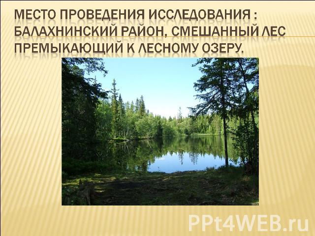 Место проведения исследования : Балахнинский район, смешанный лес премыкающий к Лесному озеру.
