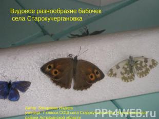 Видовое разнообразие бабочек села СтарокучергановкаАвтор Захаряева Индира учениц