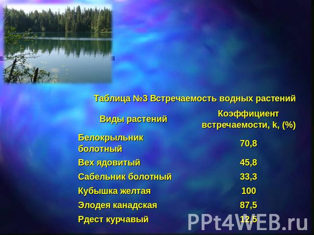 Таблица №3 Встречаемость водных растений