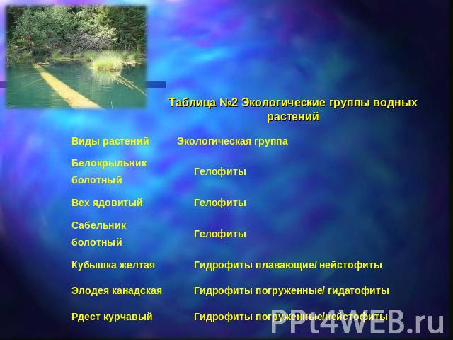 Таблица №2 Экологические группы водных растений
