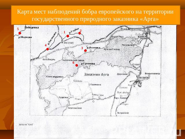Карта мест наблюдений бобра европейского на территории государственного природного заказника «Арга»
