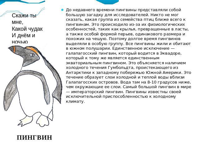 До недавнего времени пингвины представляли собой большую загадку для исследователей. Никто не мог сказать, какая группа из семейства птиц ближе всего к пингвинам. Это происходило из-за их физиологических особенностей, таких как крылья, превращенные …