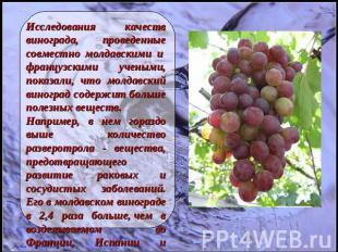Исследования качеств винограда,  проведенные совместно молдавскими и  французски