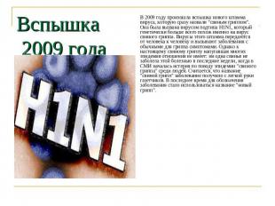 В 2009 году произошла вспышка нового штамма вируса, которую сразу назвали "свины