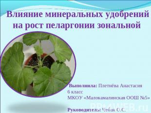 Влияние минеральных удобрений на рост пеларгонии зональнойВыполнила: Плетнёва Ан