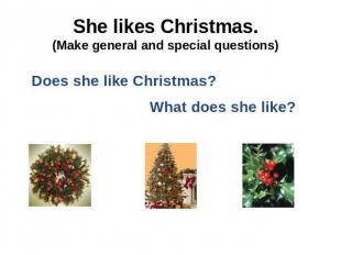She likes Christmas.(Make general and special questions)