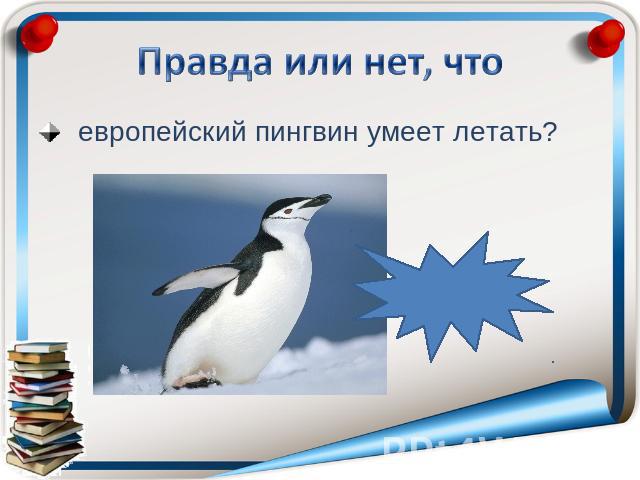 европейский пингвин умеет летать?