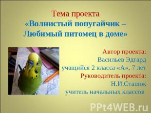Тема проекта«Волнистый попугайчик –Любимый питомец в доме»Автор проекта:Васильев
