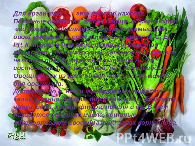 Для организма — это просто находка. Полезные свойства этого овоща объясняются его богатым составом. Этот знакомый нам овощ вмещает в себя витамины групп В, С, Е, РР, К, также в нем присутствует полезное вещество – бета-каротин, которое в организме ч…