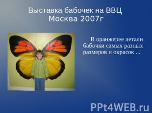 Выставка бабочек на ВВЦ Москва 2007г В оранжерее летали бабочки самых разных раз