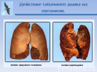 Действие табачного дыма на организм.