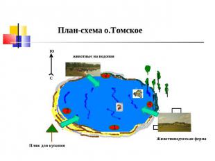 План-схема о.Томское