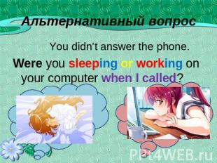You didn’t answer the phone. Were you sleeping or working on your computer when