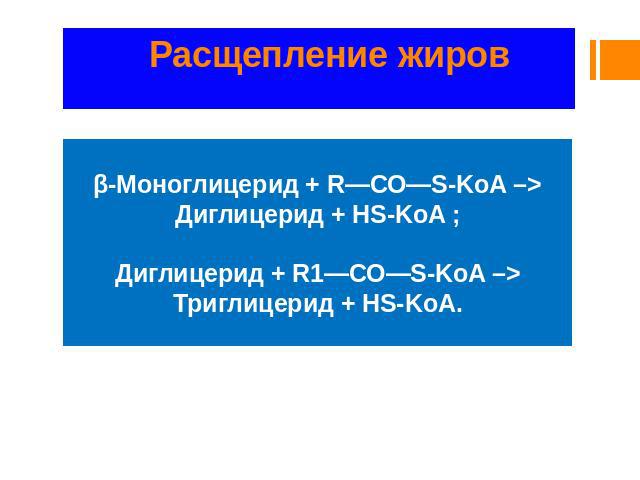 Расщепление жиров β-Моноглицерид + R—СО—S-KoA –> Диглицерид + HS-KoA ; Диглицерид + R1—СО—S-KoA –> Триглицерид + HS-KoA.