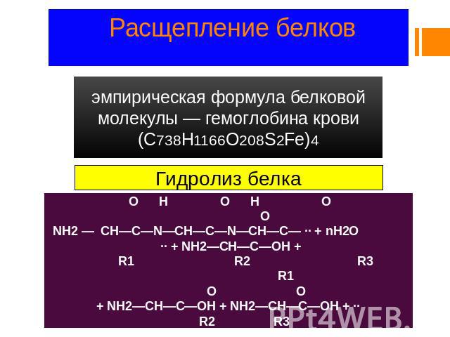 Расщепление белков эмпирическая формула белковой молекулы — гемоглобина крови (C738H1166O208S2Fe)4 О H О Н О О NH2 — СН—С—N—СH—С—N—СН—С— ·· + nH2O ·· + NH2—СН—С—ОН + R1 R2 R3 R1 O O + NH2—СН—С—ОН + NH2—СН—С—ОН + ·· R2 R3