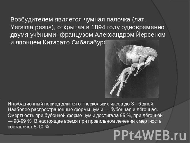 Возбудителем является чумная палочка (лат. Yersinia pestis), открытая в 1894 году одновременно двумя учёными: французом Александром Йерсеном и японцем Китасато Сибасабуро. Инкубационный период длится от нескольких часов до 3—6 дней. Наиболее распрос…
