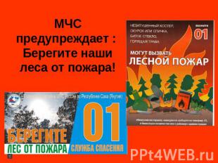 МЧС предупреждает : Берегите наши леса от пожара!