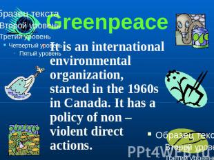 Greenpeace It is an international environmental organization, started in the 196