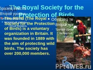 The Royal Society for the Protection of Birds The RSTB (The Royal Society for th
