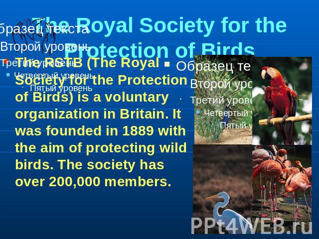 The Royal Society for the Protection of Birds The RSTB (The Royal Society for the Protection of Birds) is a voluntary organization in Britain. It was founded in 1889 with the aim of protecting wild birds. The society has over 200,000 members