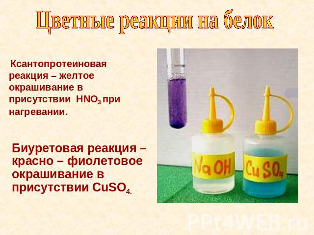 Цветные реакции на белок Ксантопротеиновая реакция – желтое окрашивание в присутствии НNO3 при нагревании. Биуретовая реакция – красно – фиолетовое окрашивание в присутствии CuSO4.