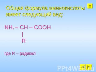 Общая формула аминокислоты имеет следующий вид: NH2 – CH – COOH | R где R – ради