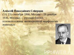 Алексей Николаевич Северцов  (11( 23) сентября 1866, Москва – 19 декабря 1936, М