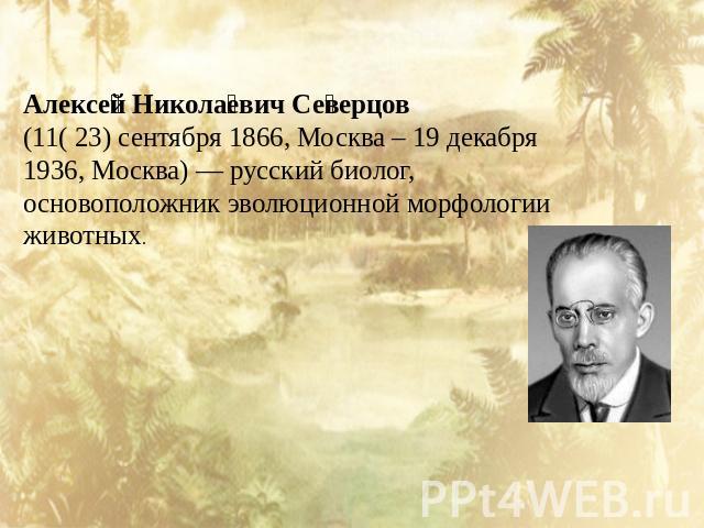 Алексей Николаевич Северцов  (11( 23) сентября 1866, Москва – 19 декабря 1936, Москва) — русский биолог, основоположник эволюционной морфологии животных.