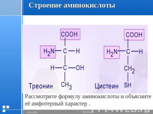 Строение аминокислоты Рассмотрите формулу аминокислоты и объясните её амфотерный