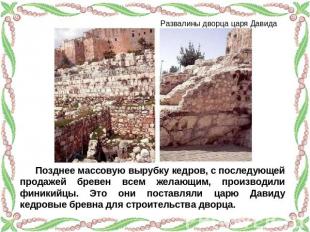 Развалины дворца царя Давида Позднее массовую вырубку кедров, с последующей прод