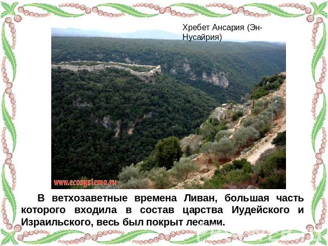 Хребет Ансария (Эн-Нусайрия) В ветхозаветные времена Ливан, большая часть которого входила в состав царства Иудейского и Израильского, весь был покрыт лесами.